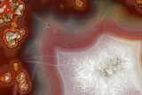 Polished Banded Agate Nodule Slice - Morocco #378096-1
